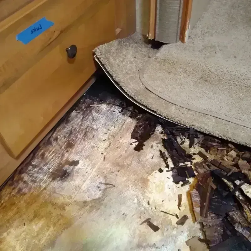 Wood Floor Water Damage in Phoenix, AZ